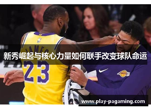 新秀崛起与核心力量如何联手改变球队命运