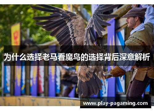 为什么选择老马看魔鸟的选择背后深意解析