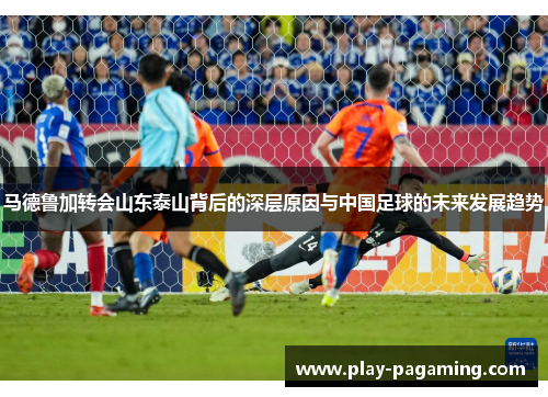 马德鲁加转会山东泰山背后的深层原因与中国足球的未来发展趋势