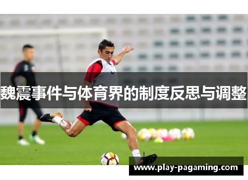 魏震事件与体育界的制度反思与调整