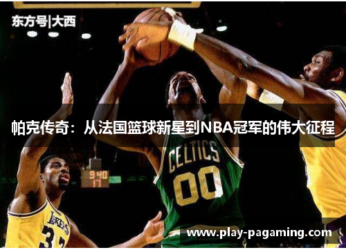帕克传奇：从法国篮球新星到NBA冠军的伟大征程