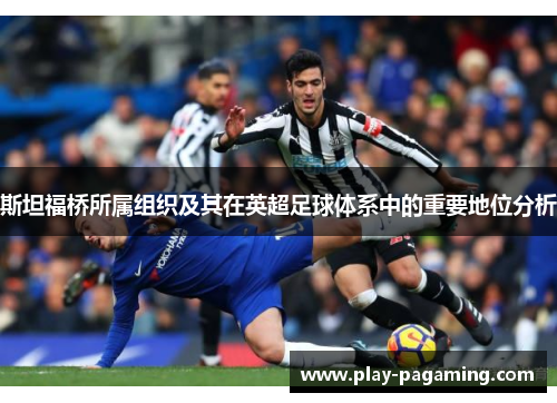 斯坦福桥所属组织及其在英超足球体系中的重要地位分析