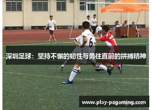 深圳足球：坚持不懈的韧性与勇往直前的拼搏精神
