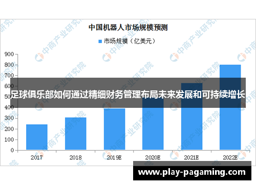 足球俱乐部如何通过精细财务管理布局未来发展和可持续增长