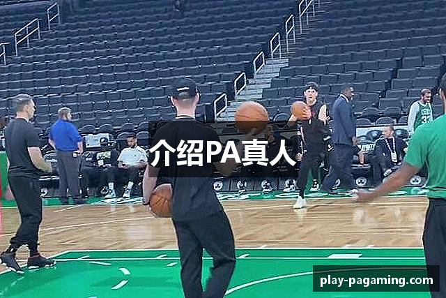介绍PA真人
